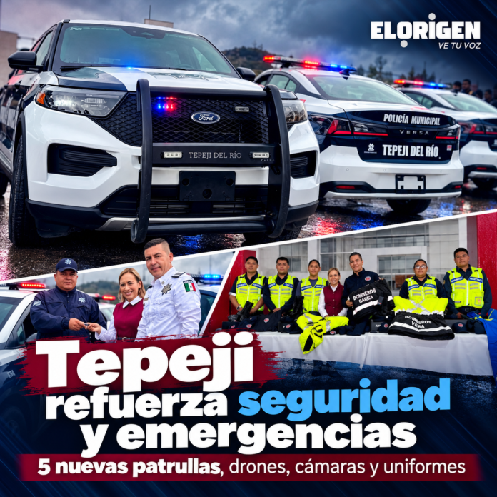 Tepeji Seguridad