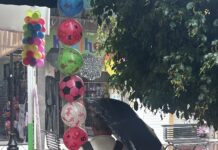 Temporada de lluvias en la región de Tula: 10 recomendaciones que pueden salvar vidas